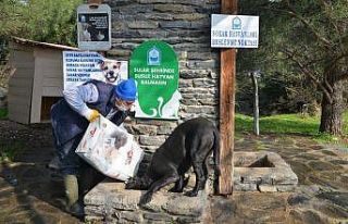 Sokak hayvanlarına korona desteği