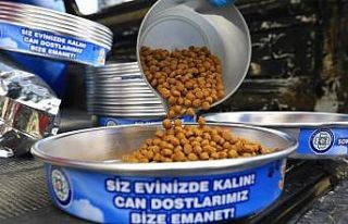 Sokak hayvanlarına yem takviyesi