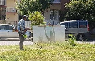Sokaklar boş kalınca belediye ekipleri bahar temizliği...
