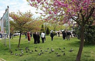 Sokaklar doldu taştı