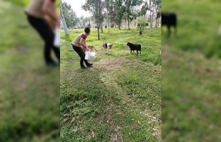 Sokaktaki canlar unutulmadı