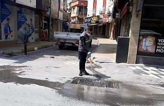 Söke Belediyesi larva ve sivrisinek mücadelesini...