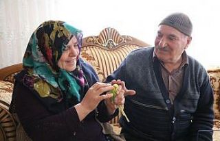 STK’yı telefonla arayıp muhabbet kuşu istediler