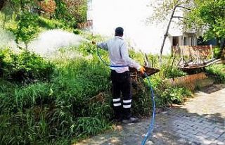 Süleymanpaşa’da yaza hazırlık