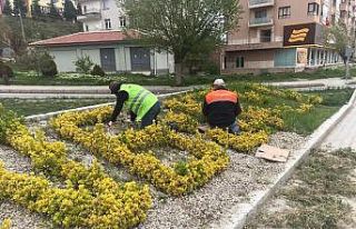 Sungurlu’lu belediyesi’nden bahar temizliği