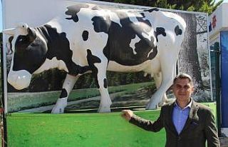 Süt üreticisin en büyük sıkıntısı artan yem...