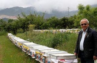 TAB Başkanı Şahin: "Çam balı gıda kodeksine...