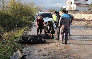 Takla atan otomobil elektrik direğini yerinden söktü:...