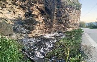 Tarihi surlara zeytin dalı yakıp zarar verdiler