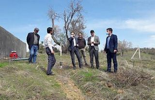 Tarım sertifika sahiplerine vize zorunluluğu kaldırıldı