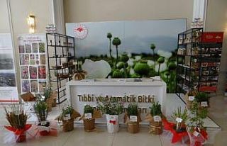 Tarımdan COVİD-19 Türkiye Web Portalına destek