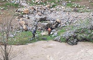 Taşan dereler vatandaşların ekmek kapısı oldu