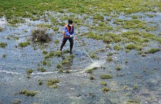 Tatvan Belediyesi larva üreme noktalarını ilaçlıyor