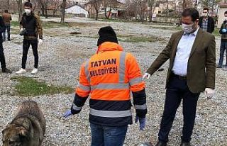 Tatvan’da sokak hayvanları için doğaya yiyecek...