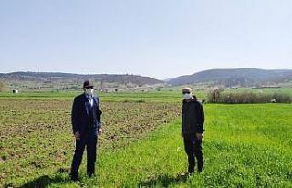 Tavşanlı İlçe Tarım Müdürlüğü faaliyetlerine...