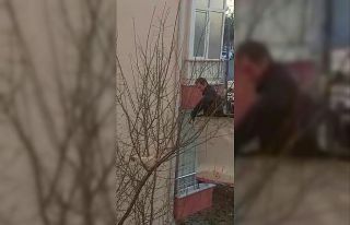 Tebessüm ettiren tavuk kurtarma operasyonu