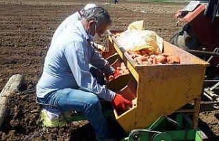 Tedbirlerini alıp üretime devam ediyorlar