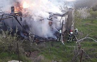 Tek katlı ev alev alev yandı