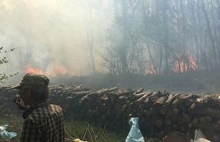 Tekirdağ’da dev orman yangını