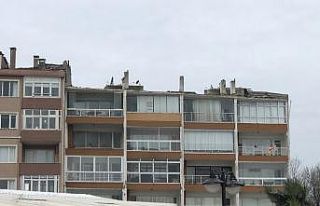 Tekirdağ’da fırtına çatıları uçurdu ağaçları...