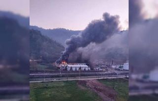 Trabzon’da balık fabrikasının soğuk hava deposunda...