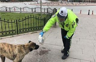 Trafik polisinin davranışı yürekleri ısıttı