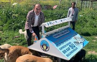 Turgutlu Belediyesi sokak hayvanlarını unutmadı