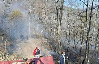 Türkeli’de orman yangını