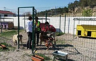 Türkiye’nin her yerine uzanan dost eli