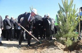 Tuşba Belediyesinden ‘Model Ceviz Bahçesi’ Projesi