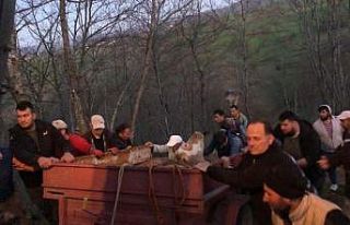 Uçurumdan yuvarlanan inek itfaiye tarafından kurtarıldı