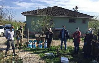 Üniversite bölgesinde hayvanlara mama dağıtıldı