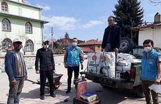 Üreticiye ücretsiz yonca tohumu desteği