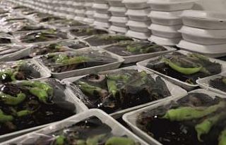 Urfa kebabı ve lahmacun yardıma muhtaçların iftarı...