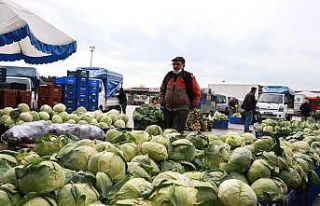Ürün bolluğu yaşanan Antalya halinden Türkiye’ye...
