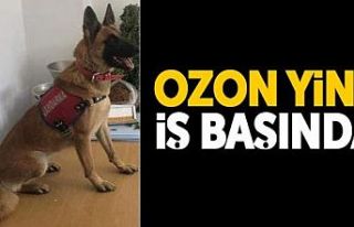 Uyuşturucu hapları “Ozon” yakaladı