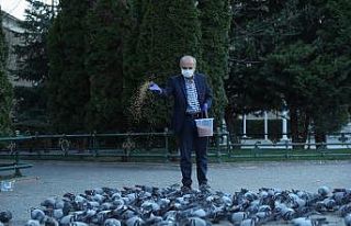 Vali Çakacak, sokak hayvanlarını besledi