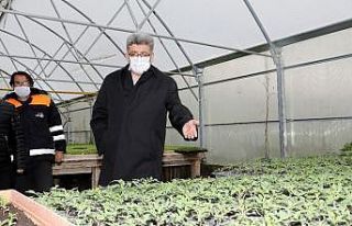 Vali Mehmet Emin Bilmez seralarda incelemelerde bulundu