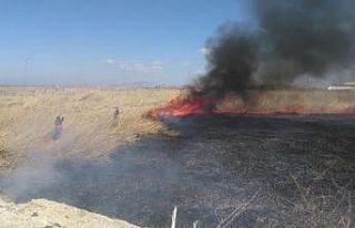 Van Gölü kenarındaki sazlık alan alev alev yandı