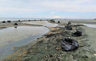 Van Gölü sahillerinde 100 ton atık çöp toplandı