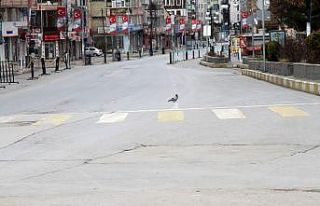 Van, hayalet şehre döndü