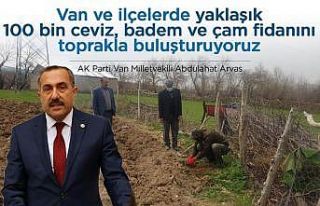Van Milletvekili Arvas: “Yaklaşık 100 bin fidanı...