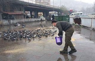 Yaban hayvanlar unutulmadı