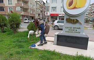 Yaban hayvanları için doğaya yem bırakıldı