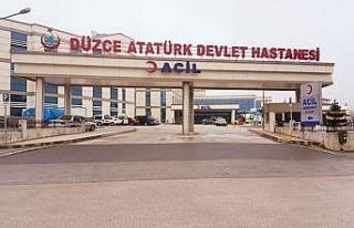 Yabani arıların saldırdığı kadın hastanelik...