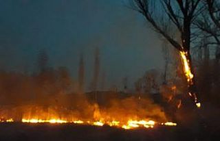 Yanan otlar ormana sıçramadan söndürüldü