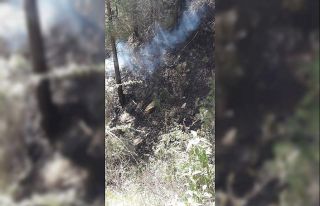 Yangını söndürmek isterken canından oldu
