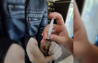 Yaralı kuş tedavi altına alındı