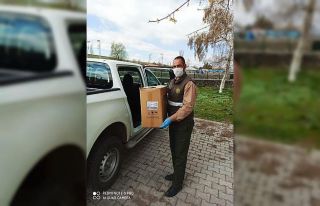 Yaralı saz delicesi tedavi altına alındı