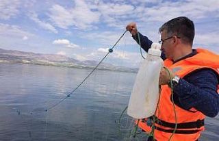 Yasağa rağmen 2 bin 500 metre balık ağı ele geçirildi